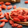 Baies de goji rouges biologiques de qualité supérieure pour la santé